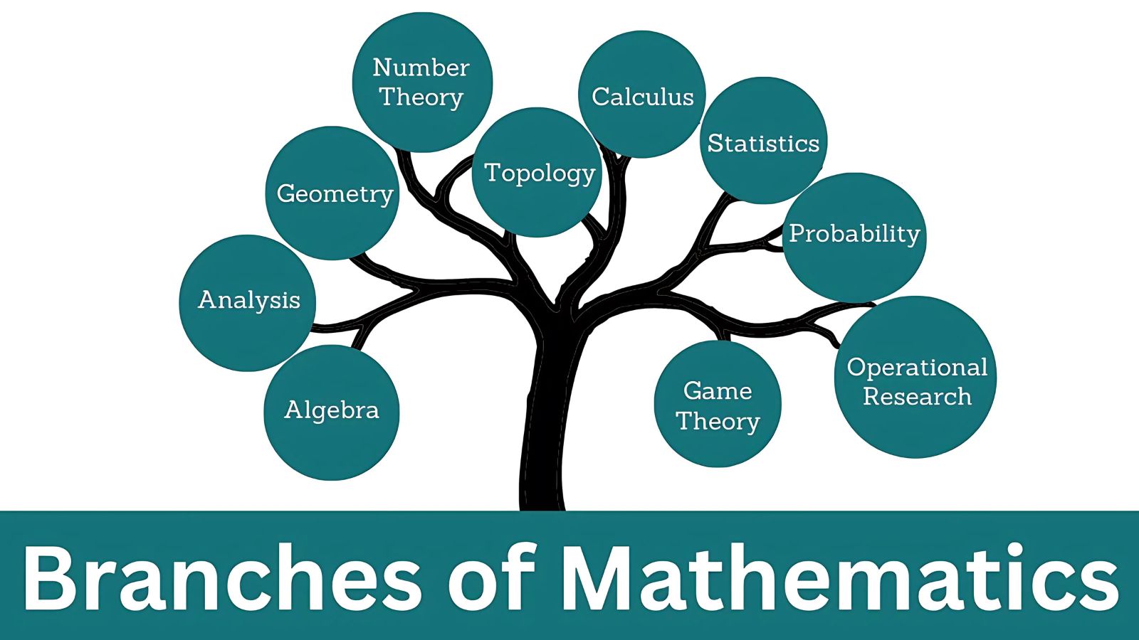Exploring the Fascinating Branches of Mathematics